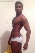 Foto Annunci Incontri Boys Grosseto Ramon Mulatto Brasiliano - 1