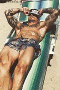 Foto Annunci Incontri Boys Pisa Robby Torello - 35
