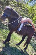 Foto Annunci Incontri Escort Chiavari Karyna - 35