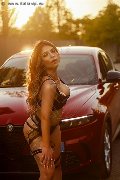 Foto Annunci Incontri Escort Siena Evelyn - 25