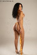 Foto Annunci Incontri Escort Treviso Perla - 5
