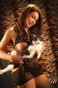 Foto Annunci Incontri Escort Verbania Alessa Venezuelana - 39