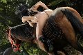 Foto Annunci Incontri Girl Brindisi Serena Delizia - 18
