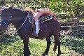 Foto Annunci Incontri Girl Chiavari Karyna - 29