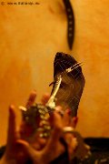Foto Annunci Incontri Mistress Marina Di Carrara Lady De Sade Italy - 22