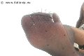 Foto Annunci Incontri Mistress Marina Di Carrara Lady De Sade Italy - 16