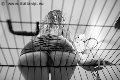 Foto Annunci Incontri Mistress Verona Lady Giuliette - 13