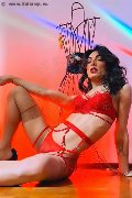 Foto Annunci Incontri Trans Alba Nicki - 33