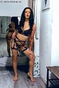 Foto Annunci Incontri Trans Alba Nicki - 4