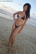 Foto Annunci Incontri Trans Busto Arsizio Amanda Ferre' - 24