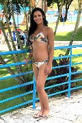 Foto Annunci Incontri Trans Conegliano Natalia Rodrigues Pornostar - 57