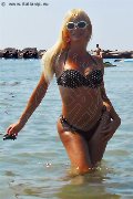 Foto Annunci Incontri Trans Isernia Brigitte - 93