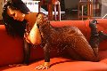 Foto Annunci Incontri Trans Milano Aline Fenaroly - 358