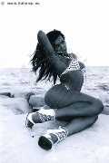 Foto Annunci Incontri Trans Milano Sabrina Hemolly - 87
