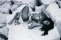 Foto Annunci Incontri Trans Milano Sabrina Hemolly - 83