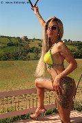 Foto Annunci Incontri Trans Parma Bruna Xxl - 5