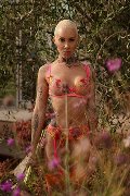 Foto Annunci Incontri Trans Roma Ath�na - 15
