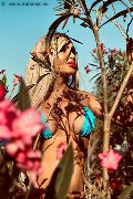 Foto Annunci Incontri Trans Roma Chrystal Medeiros Pornostar - 52
