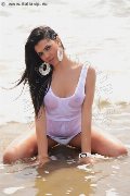 Foto Annunci Incontri Trans Roma Raphaella Ferrari Pornostar - 178