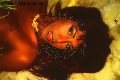 Foto Annunci Incontri Transescort Altopascio Natasha Class - 71