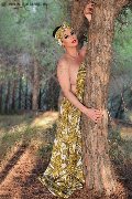 Foto Annunci Incontri Transescort Barcellona Rabeche Rayalla Pornostar - 31