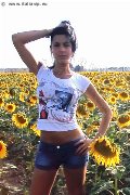 Foto Annunci Incontri Transescort Catanzaro Anna Hickhiman Pornostar - 55