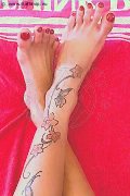 Foto Annunci Incontri Transescort Empoli Katerine Ferreira - 35