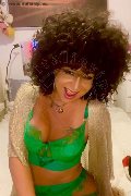 Foto Annunci Incontri Transescort Gallarate Daysy - 4
