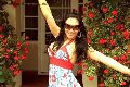 Foto Annunci Incontri Transescort Leiria Ivana Spears Pornostar - 69