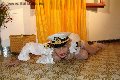 Foto Annunci Incontri Transescort Lussemburgo Sara Italy - 24