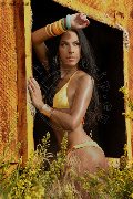 Foto Annunci Incontri Transescort Ponte San Giovanni Vajolet Dior - 42