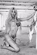 Foto Annunci Incontri Transescort Recife Sabry - 77