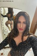 Foto Annunci Incontri Trav Rapallo Laura Delfin - 101