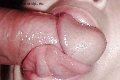 Foto Hot Annunci Incontri Trans La Spezia Isabella Tx - 8