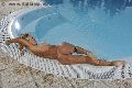 Foto Hot Annunci Incontri Trans Lecce Luisa Mello - 26