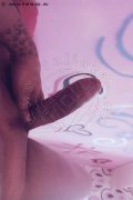 Foto Hot Annunci Incontri Transescort Porto Luana Sereia - 1