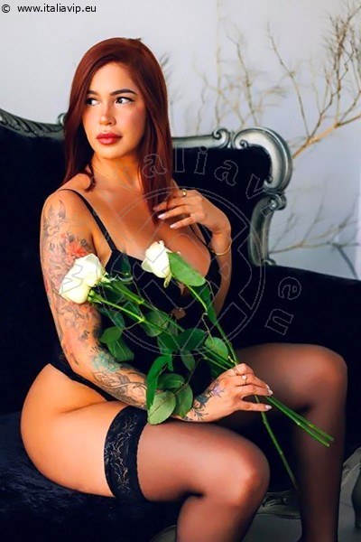 Foto Annunci Incontri Escort Amanda Drey  3342984230