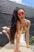 Foto Annunci Incontri Trans Frosinone Wanessa Ambrosio - 1