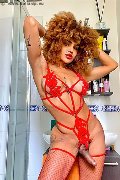 Foto Hot Annunci Incontri Trans Milano Stella - 5